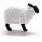 black and white sheep 1.jpg